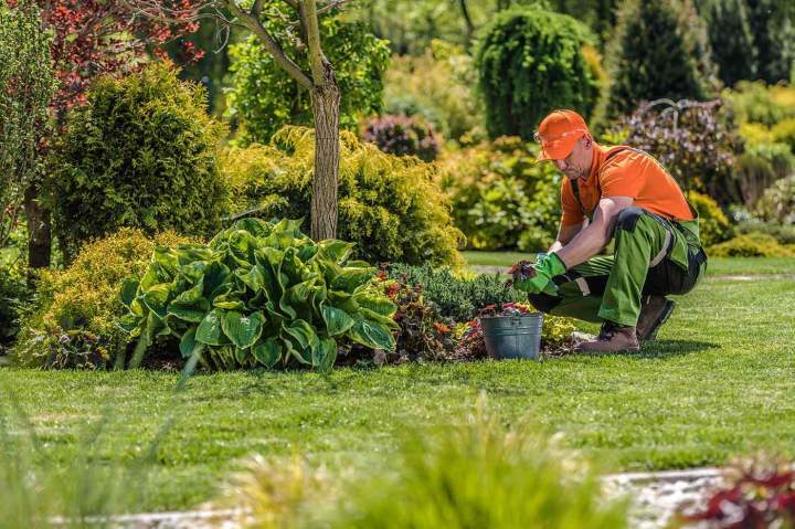 Entretien de jardin Landes